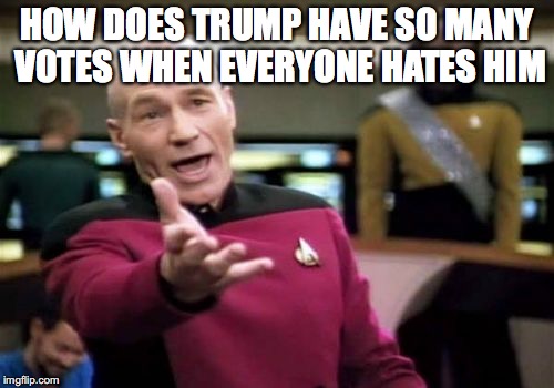 Picard Wtf | HOW DOES TRUMP HAVE SO MANY VOTES WHEN EVERYONE HATES HIM | image tagged in memes,picard wtf | made w/ Imgflip meme maker