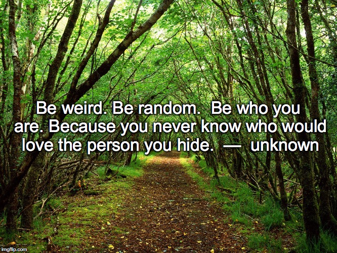 Forest is our Home | Be weird. Be random.  Be who you are. Because you never know who would love the person you hide.  —  unknown | image tagged in forest is our home | made w/ Imgflip meme maker