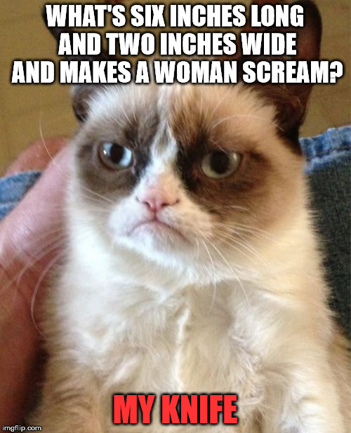 Grumpy Cat Meme | WHAT'S SIX INCHES LONG AND TWO INCHES WIDE AND MAKES A WOMAN SCREAM? MY KNIFE | image tagged in memes,grumpy cat | made w/ Imgflip meme maker
