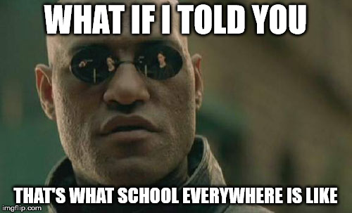Matrix Morpheus Meme | WHAT IF I TOLD YOU THAT'S WHAT SCHOOL EVERYWHERE IS LIKE | image tagged in memes,matrix morpheus | made w/ Imgflip meme maker