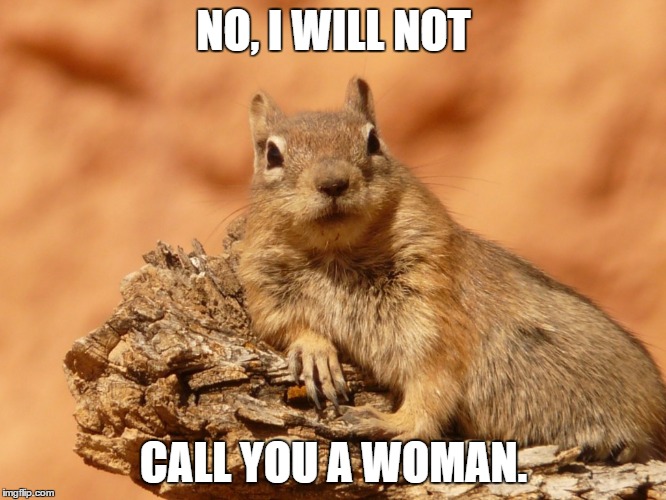 Social Expectations Squirrel | NO, I WILL NOT; CALL YOU A WOMAN. | image tagged in memes,social expectations squirrel | made w/ Imgflip meme maker