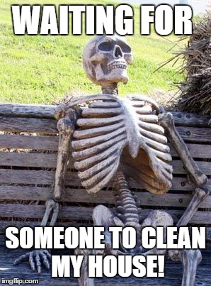 Waiting Skeleton | WAITING FOR; SOMEONE TO CLEAN MY HOUSE! | image tagged in memes,waiting skeleton | made w/ Imgflip meme maker