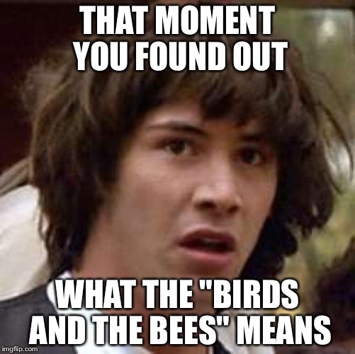 Conspiracy Keanu | THAT MOMENT YOU FOUND OUT; WHAT THE "BIRDS AND THE BEES" MEANS | image tagged in memes,conspiracy keanu | made w/ Imgflip meme maker