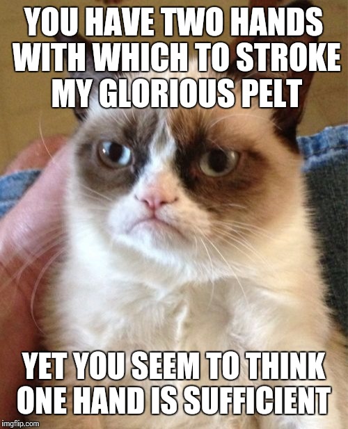 Goddess gave you two hands fool. Use them both or be gone with you! | YOU HAVE TWO HANDS WITH WHICH TO STROKE MY GLORIOUS PELT; YET YOU SEEM TO THINK ONE HAND IS SUFFICIENT | image tagged in memes,grumpy cat | made w/ Imgflip meme maker
