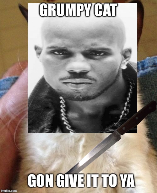 Dmx cat |  GRUMPY CAT; GON GIVE IT TO YA | image tagged in dmx,grumpy cat,memes,funny | made w/ Imgflip meme maker