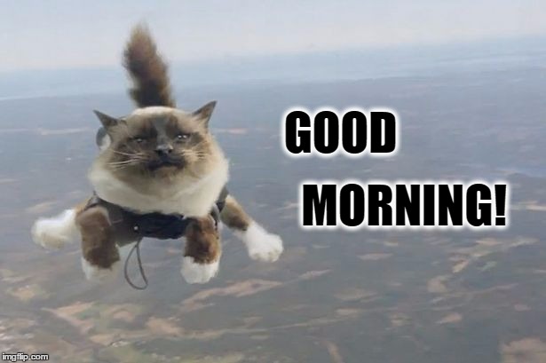 Good Morning! | GOOD; MORNING! | image tagged in good morning,cats,parachute,i should buy a boat cat | made w/ Imgflip meme maker