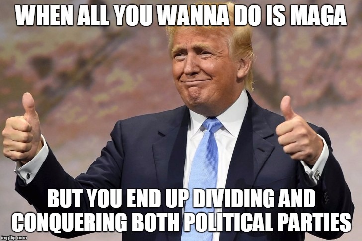 "Can't Stump, Won't Stump"  | WHEN ALL YOU WANNA DO IS MAGA; BUT YOU END UP DIVIDING AND CONQUERING BOTH POLITICAL PARTIES | image tagged in donald trump,trump 2016,can't stump the trump,the donald,memes,political meme,The_Donald | made w/ Imgflip meme maker