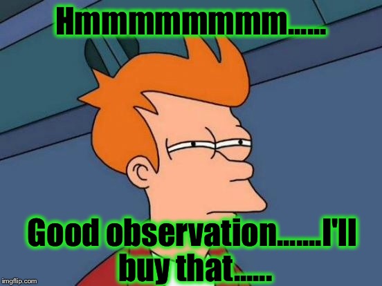 Futurama Fry Meme | Hmmmmmmmm...... Good observation.......I'll buy that...... | image tagged in memes,futurama fry | made w/ Imgflip meme maker