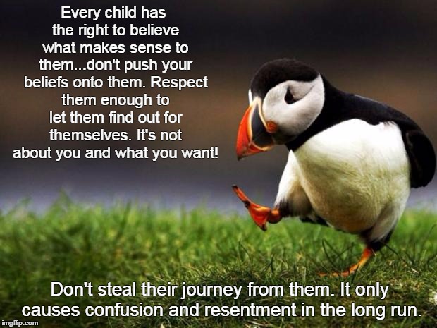 Unpopular Opinion Puffin Meme | Every child has the right to believe what makes sense to them...don't push your beliefs onto them. Respect them enough to let them find out for themselves. It's not about you and what you want! Don't steal their journey from them. It only causes confusion and resentment in the long run. | image tagged in memes,unpopular opinion puffin | made w/ Imgflip meme maker