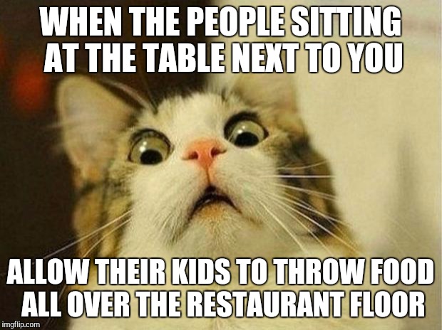 Scared Cat Meme | WHEN THE PEOPLE SITTING AT THE TABLE NEXT TO YOU; ALLOW THEIR KIDS TO THROW FOOD ALL OVER THE RESTAURANT FLOOR | image tagged in memes,scared cat | made w/ Imgflip meme maker
