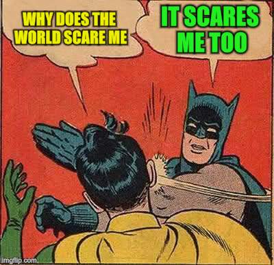 Batman Slapping Robin Meme | WHY DOES THE WORLD SCARE ME IT SCARES ME TOO | image tagged in memes,batman slapping robin | made w/ Imgflip meme maker