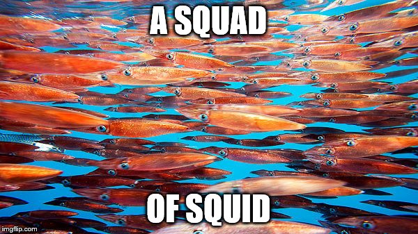 A SQUAD OF SQUID | made w/ Imgflip meme maker