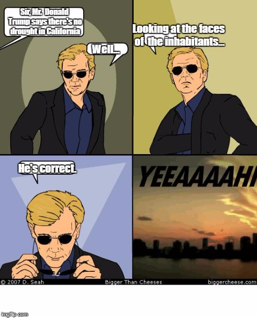 Horatio Caine | Sir, Mr.  Donald Trump says there's no drought in California; Looking at the faces of  the inhabitants... Well... He's correct. | image tagged in horatio caine | made w/ Imgflip meme maker