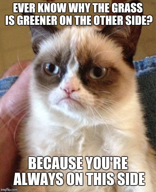 Grumpy Cat | EVER KNOW WHY THE GRASS IS GREENER ON THE OTHER SIDE? BECAUSE YOU'RE ALWAYS ON THIS SIDE | image tagged in memes,grumpy cat | made w/ Imgflip meme maker
