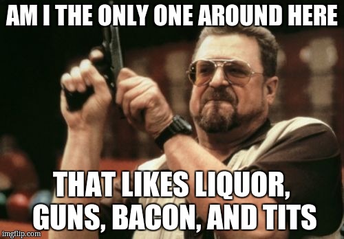 Am I The Only One Around Here Meme | AM I THE ONLY ONE AROUND HERE THAT LIKES LIQUOR, GUNS, BACON, AND TITS | image tagged in memes,am i the only one around here | made w/ Imgflip meme maker