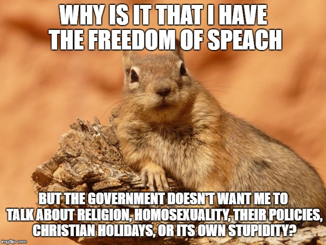 Social Expectations Squirrel | WHY IS IT THAT I HAVE THE FREEDOM OF SPEACH; BUT THE GOVERNMENT DOESN'T WANT ME TO TALK ABOUT RELIGION, HOMOSEXUALITY, THEIR POLICIES, CHRISTIAN HOLIDAYS, OR ITS OWN STUPIDITY? | image tagged in memes,social expectations squirrel | made w/ Imgflip meme maker