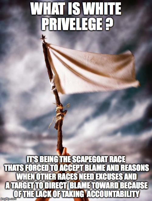 white flag |  WHAT IS WHITE PRIVELEGE ? IT'S BEING THE SCAPEGOAT RACE THATS FORCED TO ACCEPT BLAME AND REASONS WHEN OTHER RACES NEED EXCUSES AND A TARGET TO DIRECT  BLAME TOWARD BECAUSE OF THE LACK OF TAKING  ACCOUNTABILITY | image tagged in white flag | made w/ Imgflip meme maker