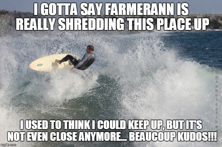 Shredding waves | I GOTTA SAY FARMERANN IS REALLY SHREDDING THIS PLACE UP I USED TO THINK I COULD KEEP UP, BUT IT'S NOT EVEN CLOSE ANYMORE... BEAUCOUP KUDOS!! | image tagged in shredding waves | made w/ Imgflip meme maker