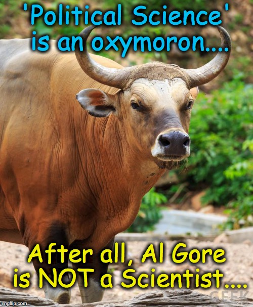 Oxymoron Ox (a wonderful new animal template) | 'Political Science' is an oxymoron.... After all, Al Gore is NOT a Scientist.... | image tagged in oxymoron ox | made w/ Imgflip meme maker