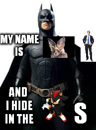 BAT MAN | MY NAME IS; AND I HIDE IN THE; S | image tagged in bat man | made w/ Imgflip meme maker