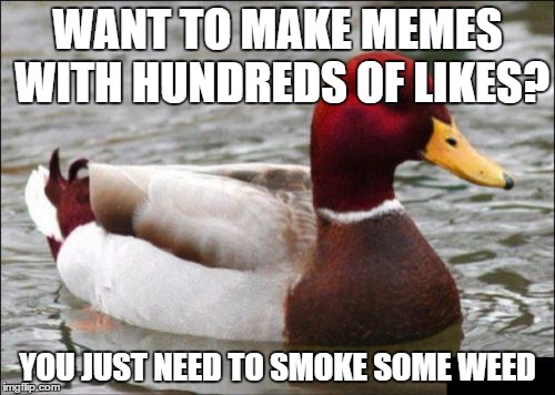 Malicious Advice Mallard Meme | WANT TO MAKE MEMES WITH HUNDREDS OF LIKES? YOU JUST NEED TO SMOKE SOME WEED | image tagged in memes,malicious advice mallard | made w/ Imgflip meme maker