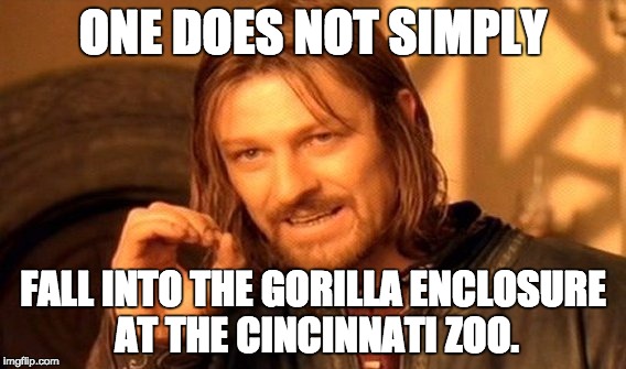 One Does Not Simply Meme | ONE DOES NOT SIMPLY; FALL INTO THE GORILLA ENCLOSURE AT THE CINCINNATI ZOO. | image tagged in memes,one does not simply | made w/ Imgflip meme maker