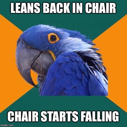 Paranoid Parrot Meme | LEANS BACK IN CHAIR; CHAIR STARTS FALLING | image tagged in memes,paranoid parrot | made w/ Imgflip meme maker