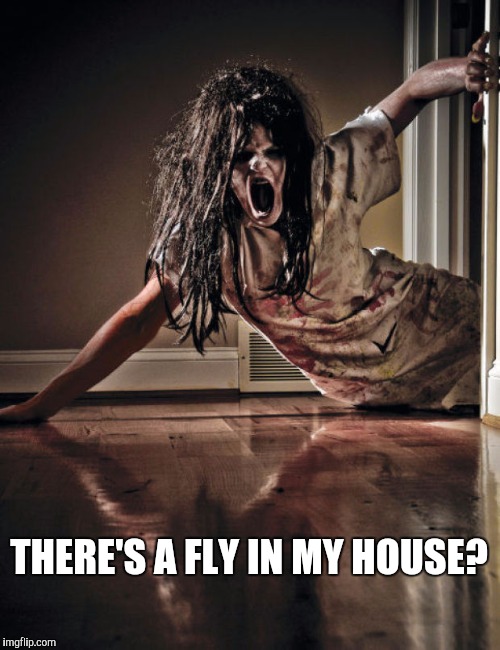 Zombies | THERE'S A FLY IN MY HOUSE? | image tagged in zombies | made w/ Imgflip meme maker