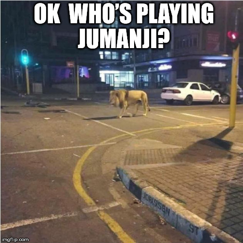 Jumanji damn you | OK 
WHO’S PLAYING JUMANJI? | image tagged in games jumanji meme funny | made w/ Imgflip meme maker