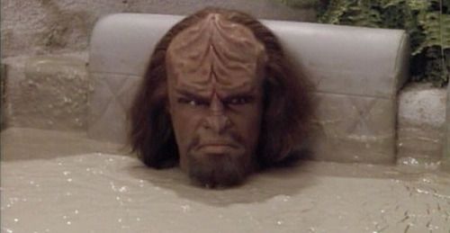 High Quality Worf is not Amused Blank Meme Template