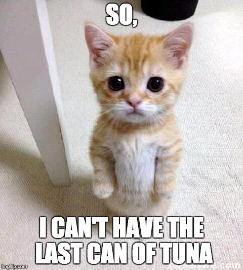Cute Cat | SO, I CAN'T HAVE THE LAST CAN OF TUNA | image tagged in memes,cute cat | made w/ Imgflip meme maker