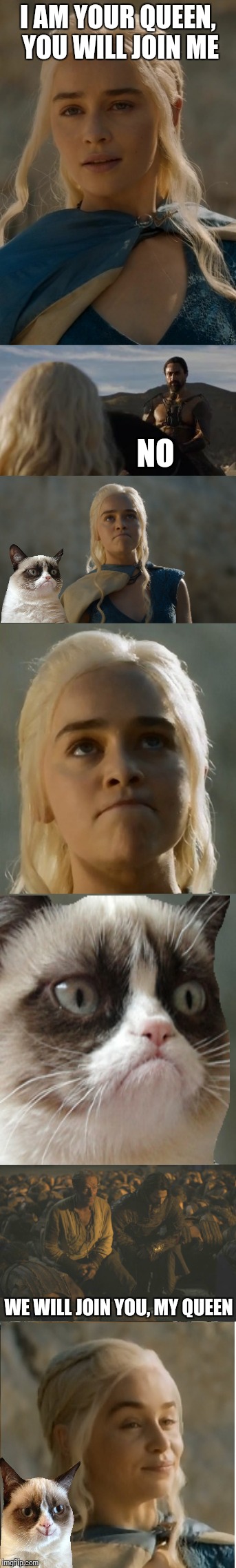 One does not say no to Daenerys and her dragon cat | I AM YOUR QUEEN, YOU WILL JOIN ME; NO; WE WILL JOIN YOU, MY QUEEN | image tagged in memes,daenerys targaryen,game of thrones,grumpy cat | made w/ Imgflip meme maker