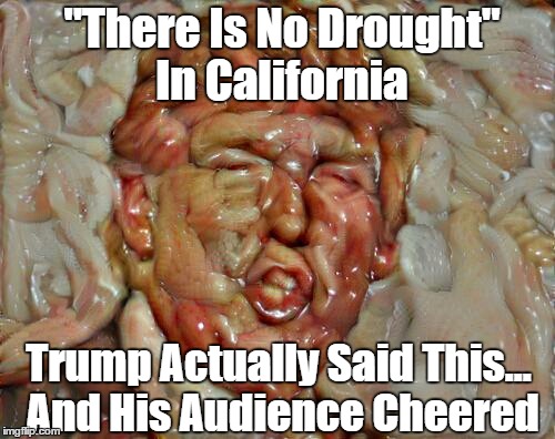 Donald Trump: "There Is No Drought In California" | "There Is No Drought" In California; Trump Actually Said This... And His Audience Cheered | image tagged in california drought,california wildfire,trump lies,trump slings shit and audiences cheer | made w/ Imgflip meme maker