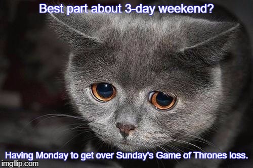 Sad cat | Best part about 3-day weekend? Having Monday to get over Sunday's Game of Thrones loss. | image tagged in sad cat | made w/ Imgflip meme maker