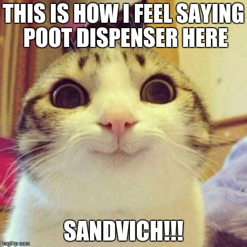 Smiling Cat | THIS IS HOW I FEEL SAYING POOT DISPENSER HERE; SANDVICH!!! | image tagged in memes,smiling cat | made w/ Imgflip meme maker