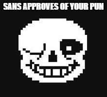 SANS APPROVES OF YOUR PUN | image tagged in sans | made w/ Imgflip meme maker