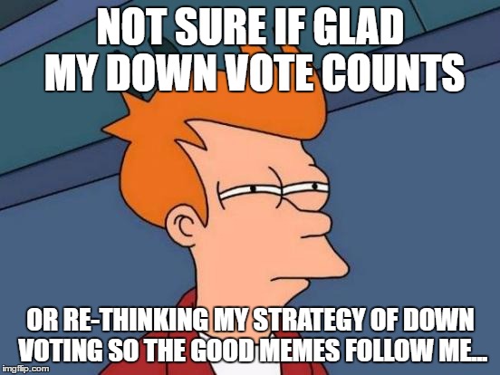 When you are going through the hot memes and the memes you down vote follow you to the next page: | NOT SURE IF GLAD MY DOWN VOTE COUNTS; OR RE-THINKING MY STRATEGY OF DOWN VOTING SO THE GOOD MEMES FOLLOW ME... | image tagged in memes,futurama fry,not sure if,downvote,karma,funny | made w/ Imgflip meme maker