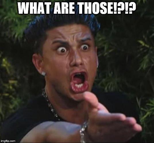 DJ Pauly D Meme | WHAT ARE THOSE!?!? | image tagged in memes,dj pauly d | made w/ Imgflip meme maker