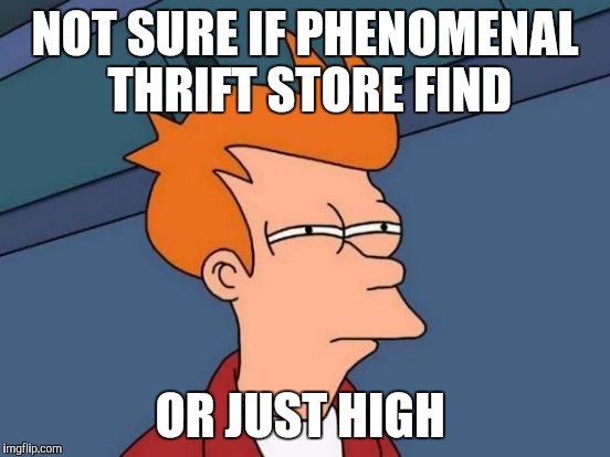 Futurama Fry | NOT SURE IF PHENOMENAL THRIFT STORE FIND; OR JUST HIGH | image tagged in memes,futurama fry | made w/ Imgflip meme maker