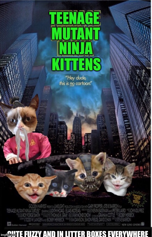 For those who are not amphibian friendly. Shout out to JYING for the movie poster idea | TEENAGE; MUTANT; NINJA; KITTENS; CUTE FUZZY AND IN LITTER BOXES EVERYWHERE | image tagged in memes,movies,grumpy cat,kittens,ninja cat | made w/ Imgflip meme maker