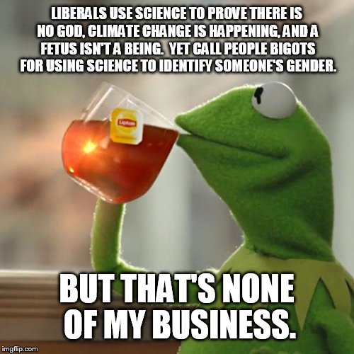 But That's None Of My Business Meme | LIBERALS USE SCIENCE TO PROVE THERE IS NO GOD, CLIMATE CHANGE IS HAPPENING, AND A FETUS ISN'T A BEING.

YET CALL PEOPLE BIGOTS FOR USING SCIENCE TO IDENTIFY SOMEONE'S GENDER. BUT THAT'S NONE OF MY BUSINESS. | image tagged in memes,but thats none of my business,kermit the frog | made w/ Imgflip meme maker