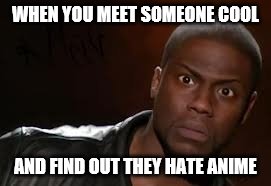 Kevin Hart | WHEN YOU MEET SOMEONE COOL; AND FIND OUT THEY HATE ANIME | image tagged in memes,kevin hart the hell | made w/ Imgflip meme maker