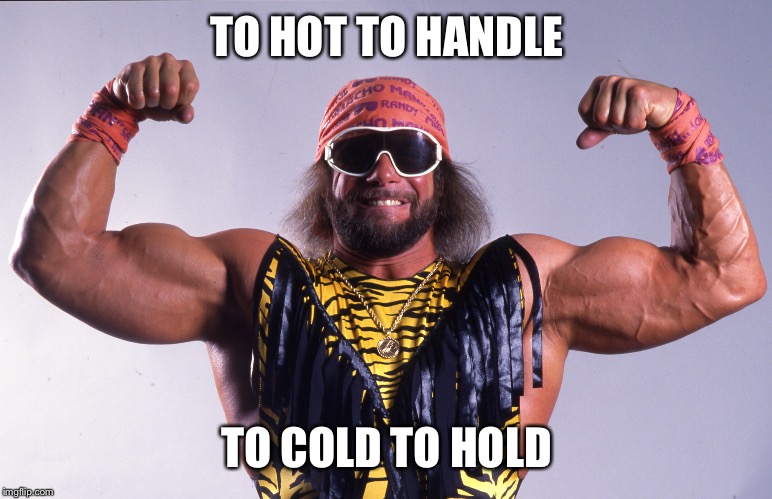 TO HOT TO HANDLE; TO COLD TO HOLD | image tagged in macho man,wwe | made w/ Imgflip meme maker