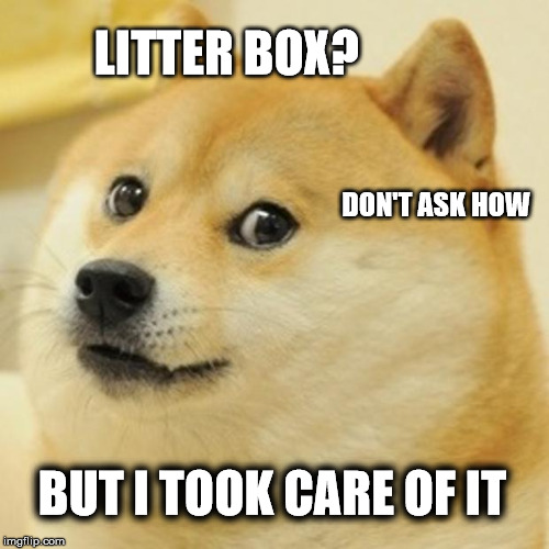 Doge Meme | LITTER BOX? DON'T ASK HOW; BUT I TOOK CARE OF IT | image tagged in memes,doge | made w/ Imgflip meme maker