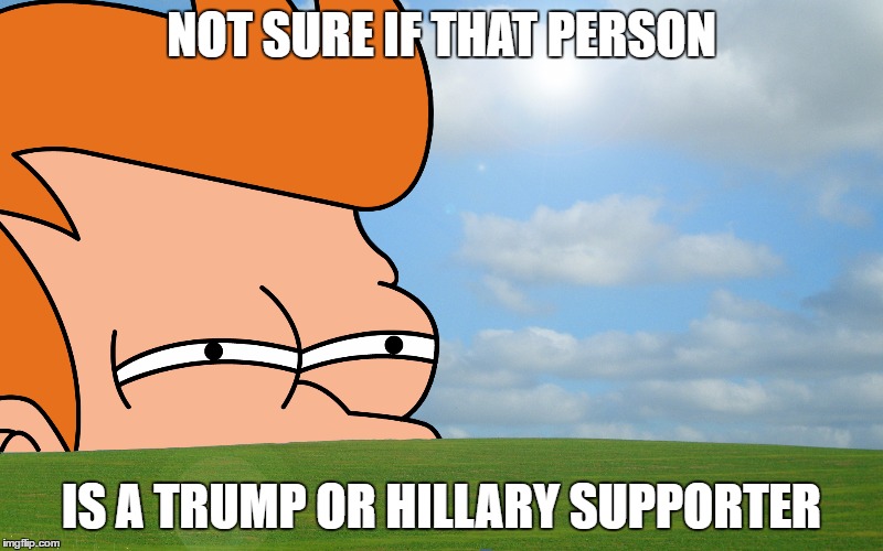 futurama fry |  NOT SURE IF THAT PERSON; IS A TRUMP OR HILLARY SUPPORTER | image tagged in futurama fry | made w/ Imgflip meme maker