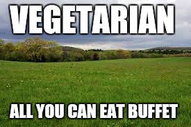 Vegetarian buffet | VEGETARIAN; ALL YOU CAN EAT BUFFET | image tagged in vegan,vegetarian | made w/ Imgflip meme maker