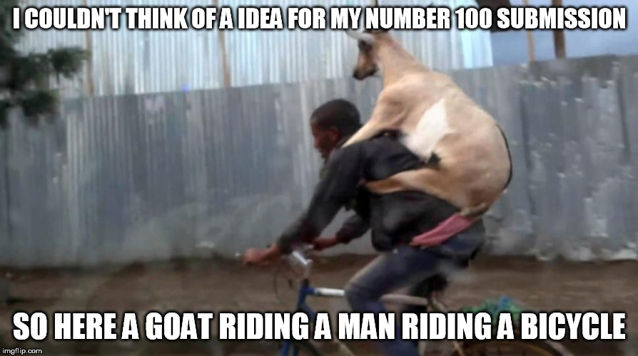 Nobody asked for this, but i did it anyways | I COULDN'T THINK OF A IDEA FOR MY NUMBER 100 SUBMISSION; SO HERE A GOAT RIDING A MAN RIDING A BICYCLE | image tagged in goat,bicycle,memes,funny | made w/ Imgflip meme maker