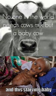 cow privelege | and this starving baby | image tagged in baby,malnutrition | made w/ Imgflip meme maker