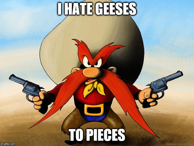 I HATE GEESES TO PIECES | made w/ Imgflip meme maker