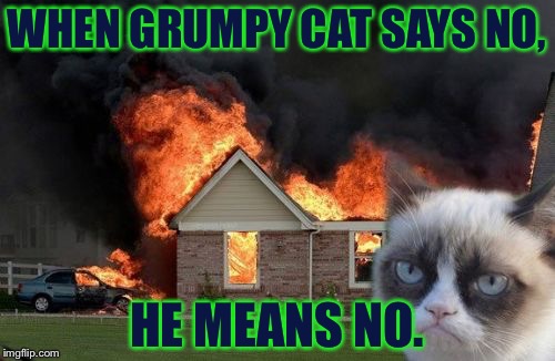 Burn Kitty Meme | WHEN GRUMPY CAT SAYS NO, HE MEANS NO. | image tagged in memes,burn kitty,grumpy cat | made w/ Imgflip meme maker
